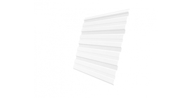 Профнастил С10R 0.45 PE RAL 9003 сигнальный белый