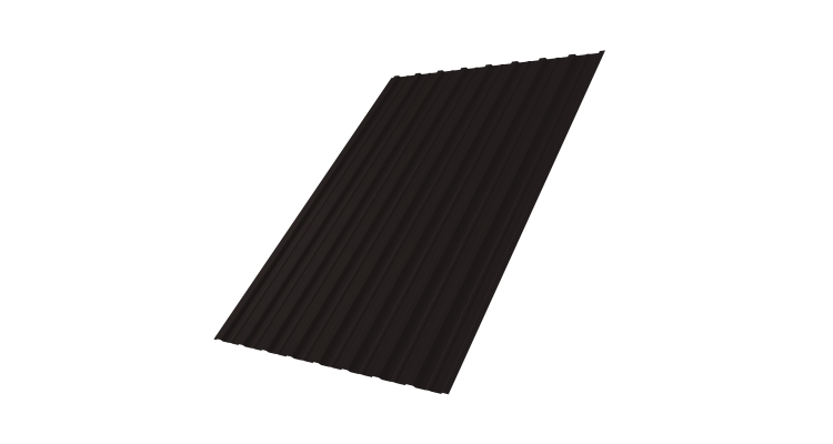 Профнастил С10A 0,45 PE-Double RAL 9005 черный